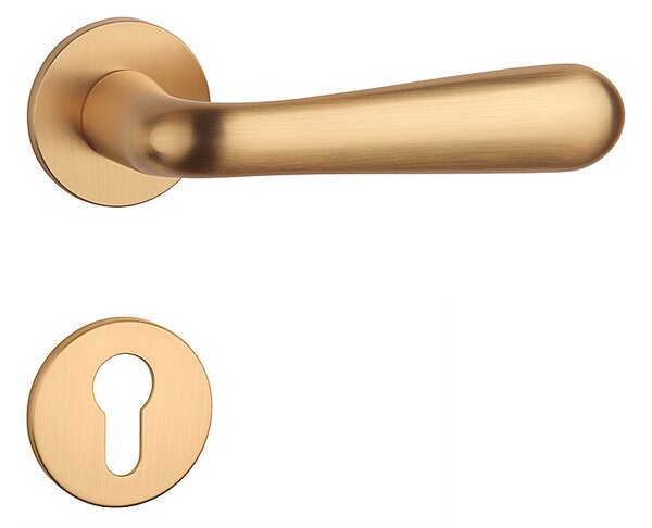 Dverové kovanie MP Gardenia - R 5S (OLS - Mosadz brúsená), kľučka-kľučka, Otvor pre obyčajný kľúč BB, MP OLS (mosadz brúsená a lakovaná)