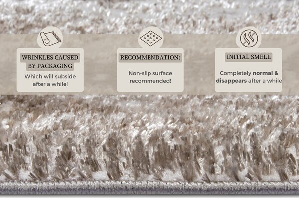 Koberec v béžovo-striebornej farbe 57x90 cm Shine Classic – Hanse Home