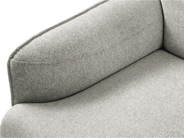 Svetlosivá pohovka Windsor & Co Sofas Neso, 235 cm