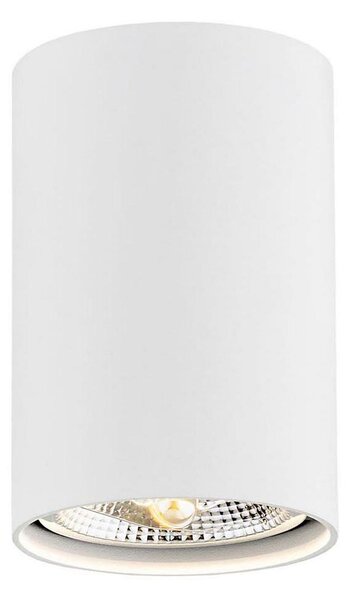 Argon 4910 - Bodové svietidlo TUBO AR111 1xGU10/15W/230V biela
