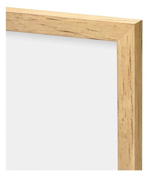 Obraz 30x40 cm Grass – knor