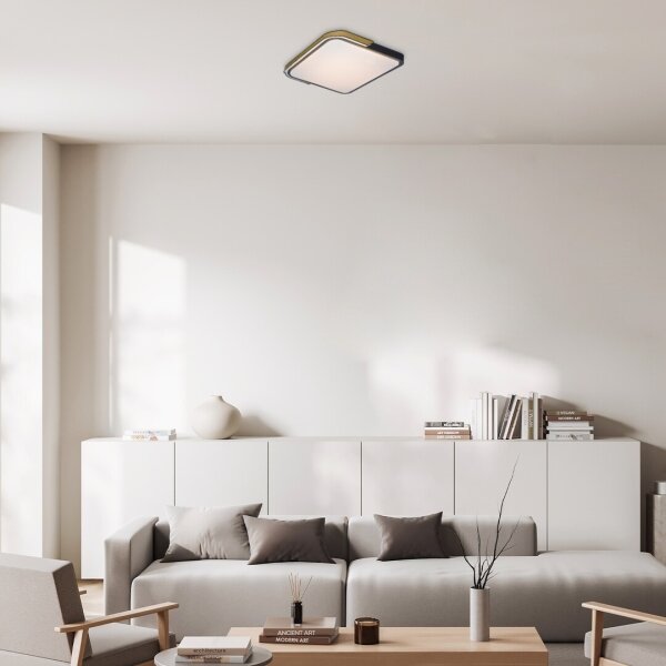 Rabalux 71146 - LED Stmievateľné stropné svietidlo ARILD LED/48W/230V Wi-Fi Tuya
