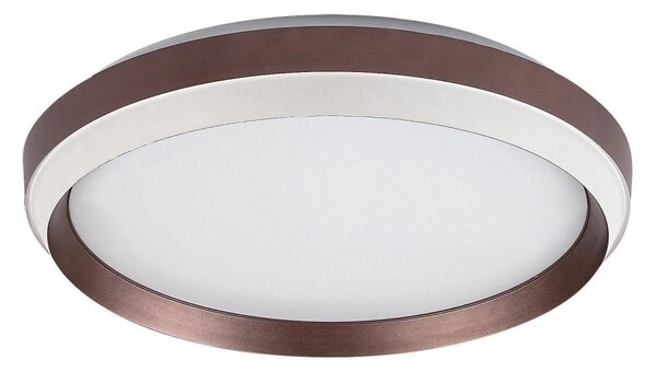 Rabalux 71159 - LED stropné svietidlo FONTANA LED/24W/230V 3000K