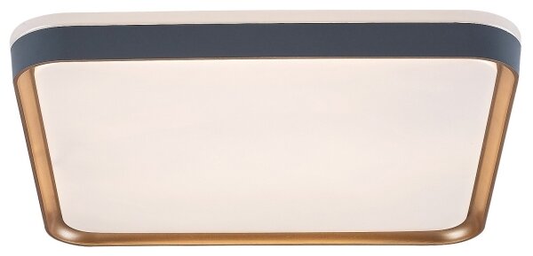 Rabalux 71029 - LED stropné svietidlo LIATRIS LED/26W/230V 3000K