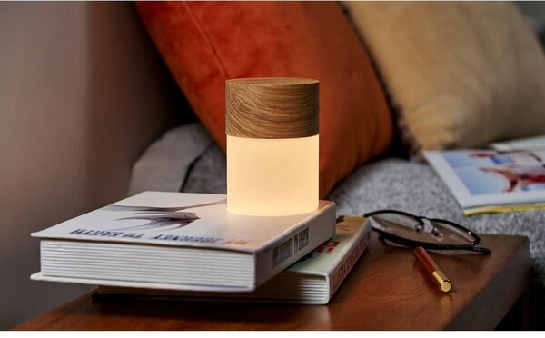 Stmievateľná stolová lampa v prírodnej farbe so skleneným tienidlom (výška 10,5 cm) Lemelia - Gingko