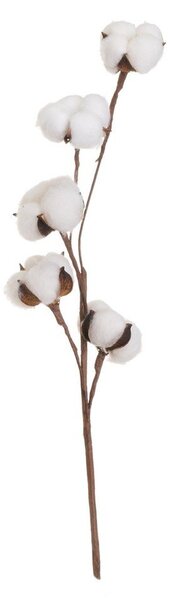 Sušená rastlina (výška 55 cm) Cotton – Casa Selección