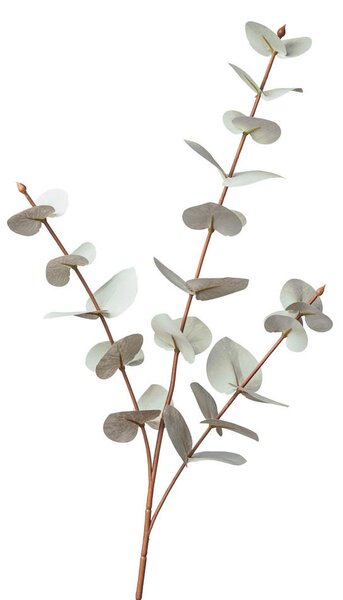 UMELÁ RASTLINA eukalyptus 68 cm - Kvetinové dekorácie