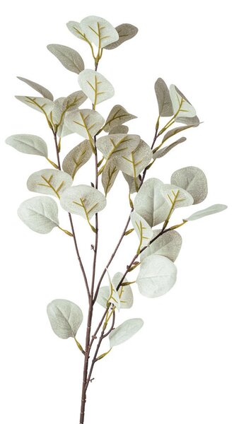 UMELÁ RASTLINA eukalyptus 73 cm - Kvetinové dekorácie