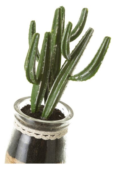 Umelé rastliny v súprave 4 ks (výška 18 cm) Cactus – Casa Selección