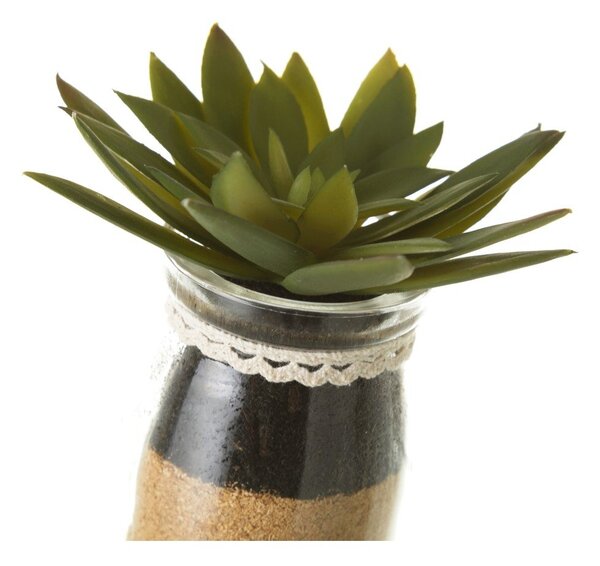 Umelé rastliny v súprave 4 ks (výška 18 cm) Cactus – Casa Selección