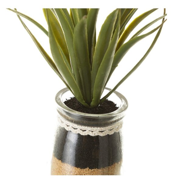 Umelé rastliny v súprave 4 ks (výška 18 cm) Cactus – Casa Selección