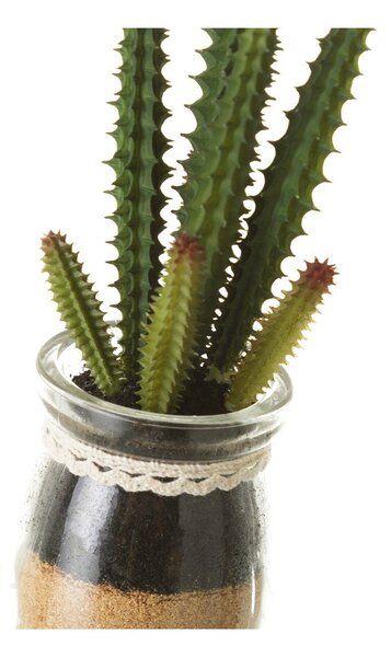 Umelé rastliny v súprave 4 ks (výška 18 cm) Cactus – Casa Selección