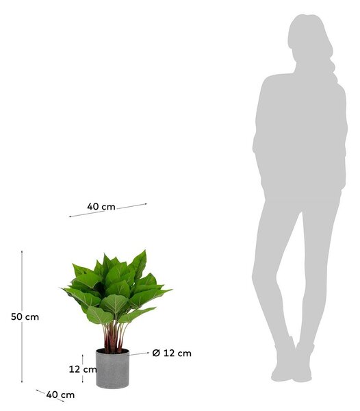 Umelá kvetina Toulitka Kave Home, výška 50 cm
