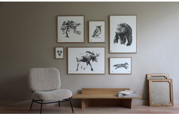 Teemu Järvi Plagát s motívom medveďa Gentle bear 50x70