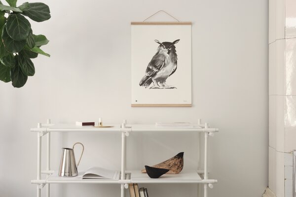 Teemu Järvi Plagát s motívom sovy Eagle Owl 50x70