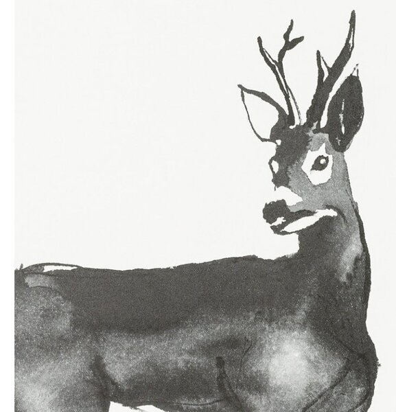 Teemu Järvi Plagát s motívom srnca Roe Deer 50x70