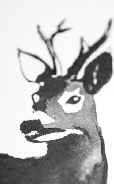 Teemu Järvi Plagát s motívom srnca Roe Deer 50x70