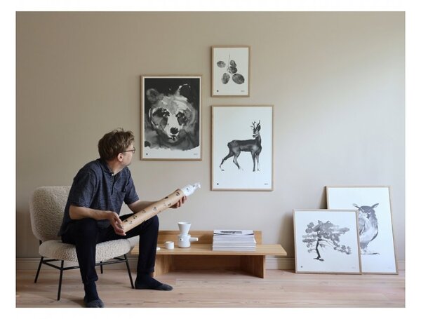 Teemu Järvi Plagát s motívom srnca Roe Deer 50x70
