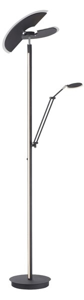 STOJACIA LED LAMPA, 87/44/202 cm - Interiérové svietidlá