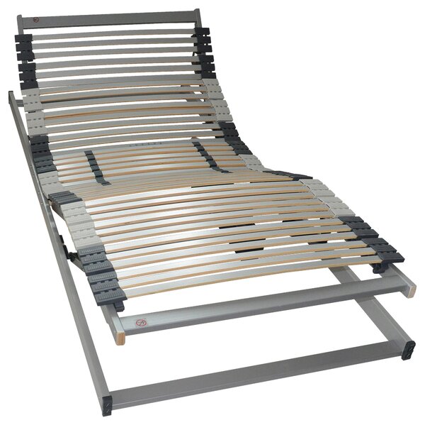 ELEKTRICKÝ POLOHOVATEĽNÝ ROŠT, (pre rám) 90/200 cm Dieter Knoll - Rošty na posteľ
