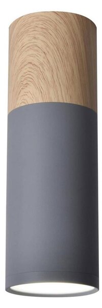 Stropné svietidlo TUBA GU10/15W/230V