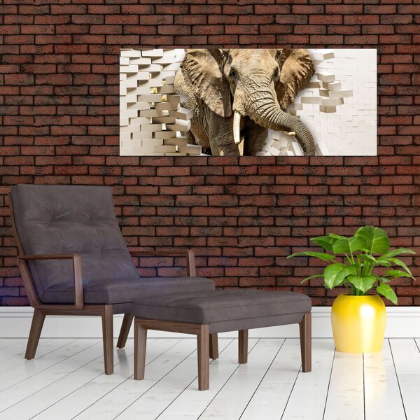 Obraz - Slon prerážajúci múr (120x50 cm)