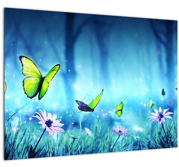 Obraz - Mystická lesná čistina (70x50 cm)