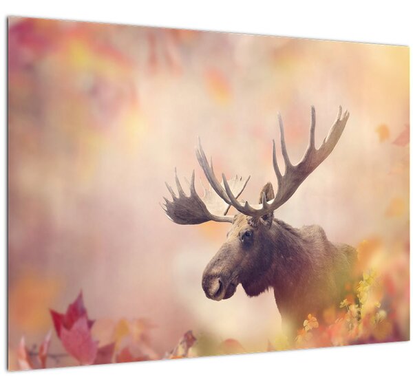Obraz - Sob v jesennom lístí (70x50 cm)