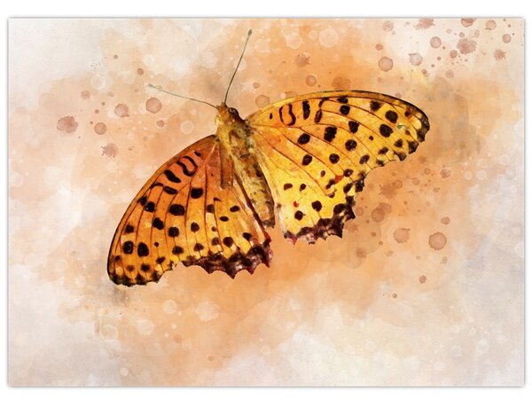 Obraz - Oranžový motýľ, aquarel (70x50 cm)