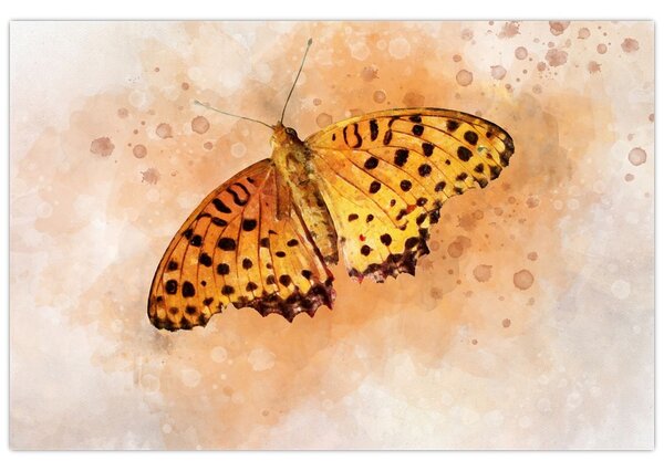 Obraz - Oranžový motýľ, aquarel (90x60 cm)