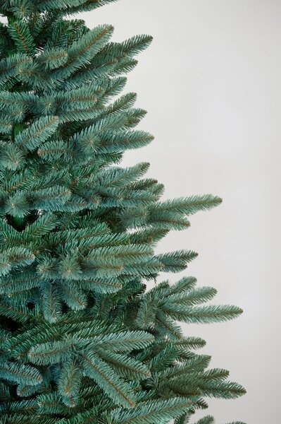 Vianočný stromček- Jedlička strieborná 150cm