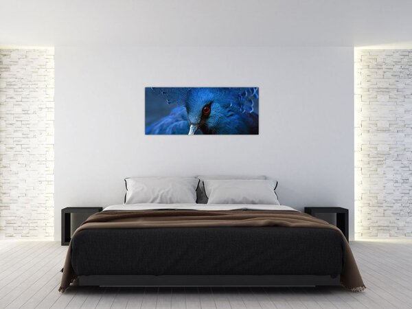 Obraz - Holub korunovaný (120x50 cm)