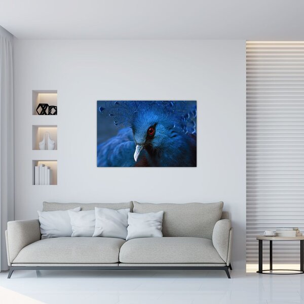 Obraz - Holub korunovaný (90x60 cm)