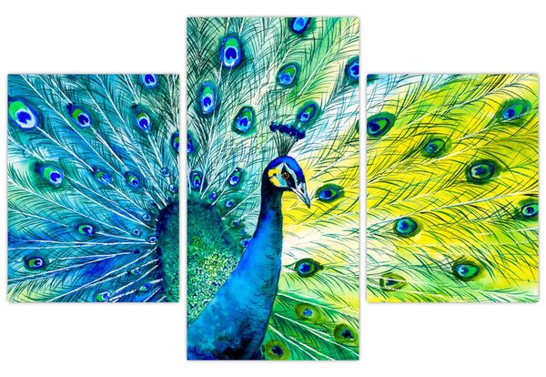 Obraz páva (90x60 cm)