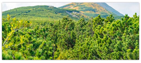Obraz - Babi Hora, Poľsko (120x50 cm)