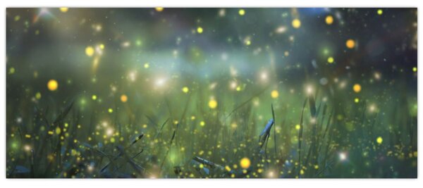 Obraz - Čarovná noc (120x50 cm)