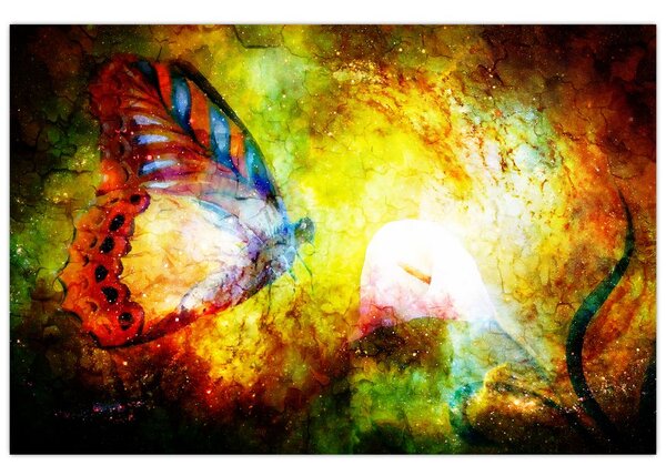 Obraz - Kozmický motýľ (90x60 cm)