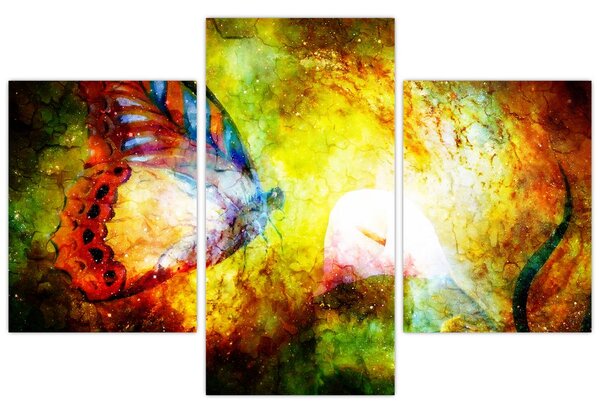 Obraz - Kozmický motýľ (90x60 cm)