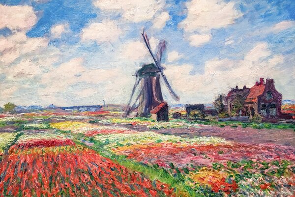 Obrazová reprodukcia Tulip Fields with the Rijnsburg Windmill, 1886, Claude Monet