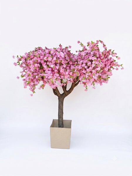 Kvitnúci strom sakura- extra široká koruna 200cm