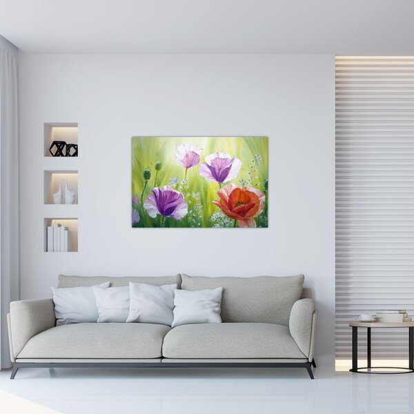 Obraz - Vlčie maky (90x60 cm)