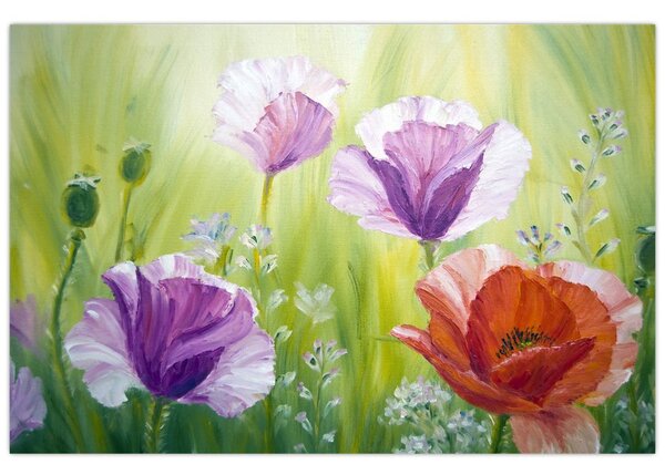 Obraz - Vlčie maky (90x60 cm)
