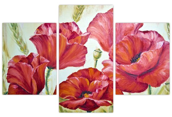 Obraz - Kvety vlčích makov (90x60 cm)