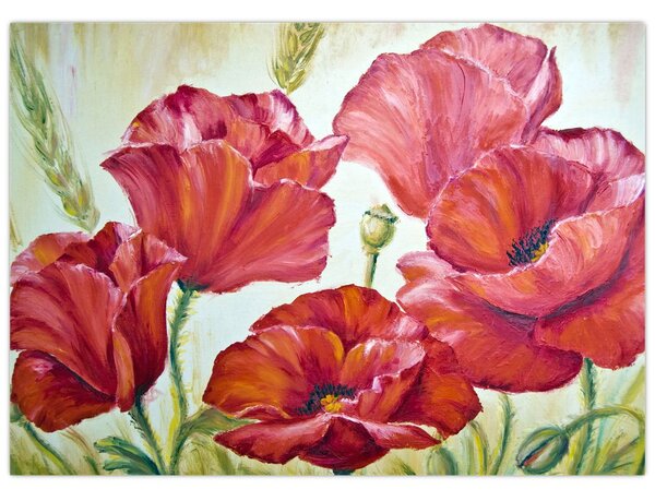 Obraz - Kvety vlčích makov (70x50 cm)