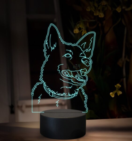 Beling, 3D lampa s fotkou, 16 farebná, VF14