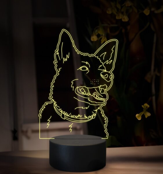 Beling, 3D lampa s fotkou, 16 farebná, VF14
