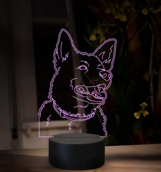 Beling, 3D lampa s fotkou, 16 farebná, VF14