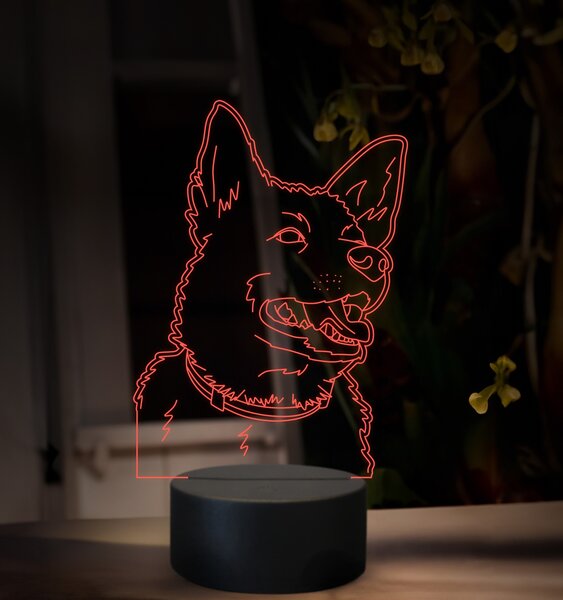 Beling, 3D lampa s fotkou, 16 farebná, VF14
