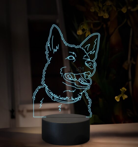 Beling, 3D lampa s fotkou, 16 farebná, VF14