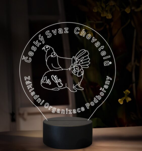 Beling, 3D lampa s fotkou, 16 farebná, VF07